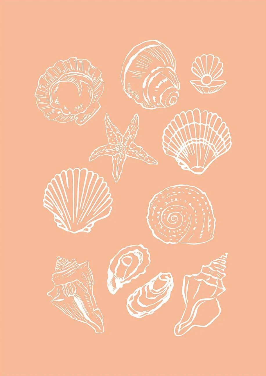 Somrig Poster – "Seashells Meet Me At The Beach" i La Dolce Vita-stil